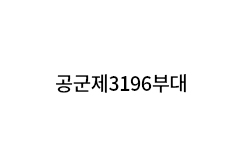 공군제3196부대